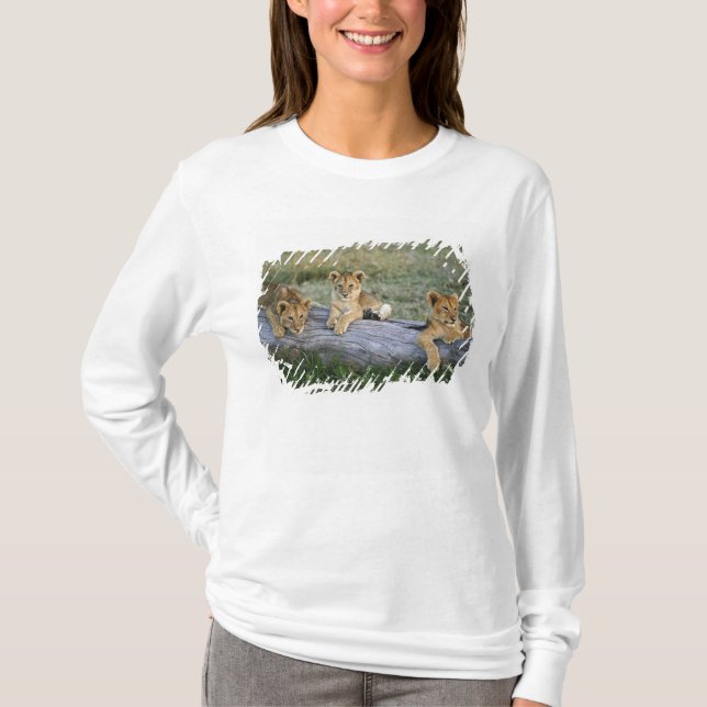 Camiseta Filhotes de Leão no Tronco (Frente)