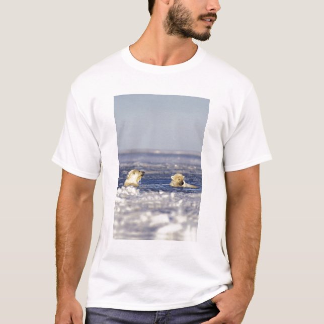Camiseta Filhotes de urso polar brincando (Frente)