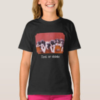 Filhotes Personalizados de Border Collie Fofos