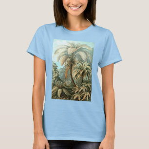 Camiseta Filicinae por Ernst Haeckel, Plantas de samambaia 