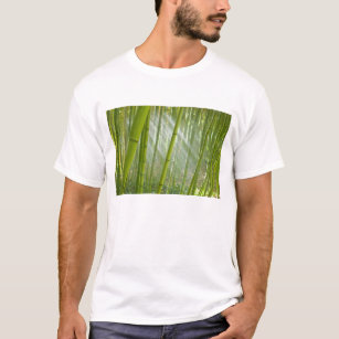 Camiseta Filtragem da luz solar pela manhã através do bambu