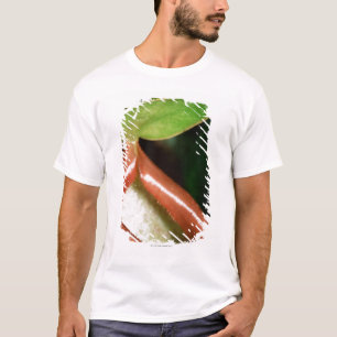 Camiseta Fim-acima da planta de jarro