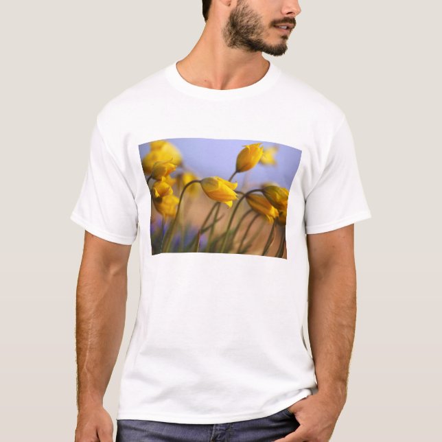 Camiseta Fim-acima dos daffodils (Frente)