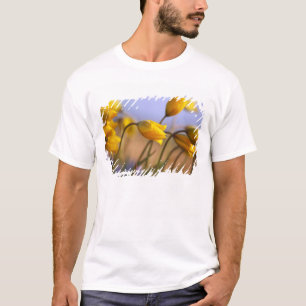 Camiseta Fim-acima dos daffodils