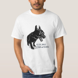 Camiseta Fim dos dias?