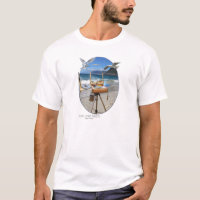 Fish Hoek Beach - Cidade do Cabo