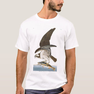 Camiseta Fisher Hawk ou Osprey de Audubon