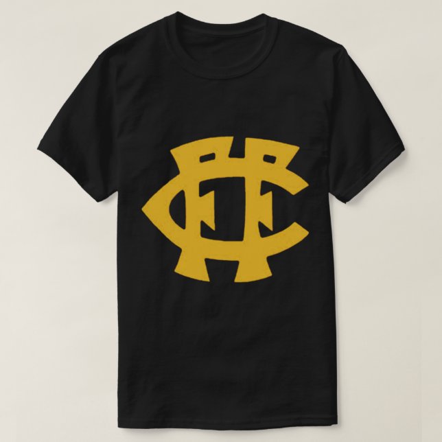 Camiseta Fitzroy Football Club  Essential T-Shirt (Frente do Design)
