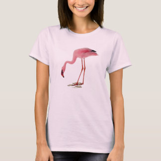 Camiseta Flamingo