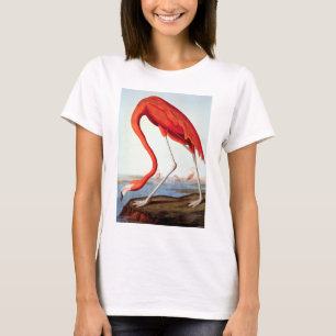 Camiseta Flamingo americano