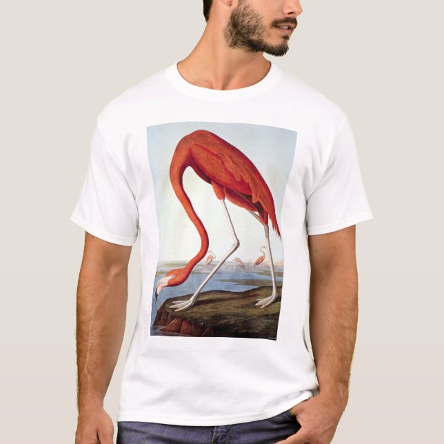 Camiseta Flamingo americano (Frente)