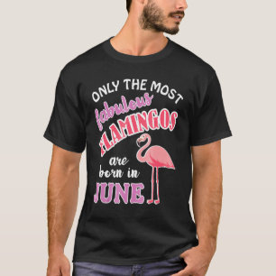 Camiseta Flamingo Birthday Pink Flamingo Roupa