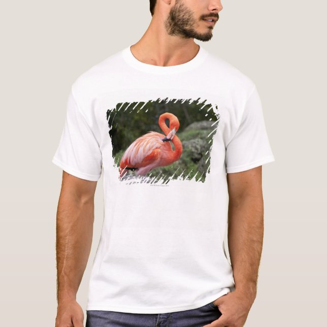 Camiseta Flamingo cor-de-rosa (Frente)