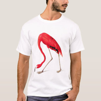 Camiseta Flamingo vermelho de Audubon