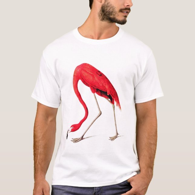 Camiseta Flamingo vermelho de Audubon (Frente)