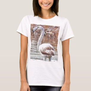Camiseta Flamingo Watercolor Exótico