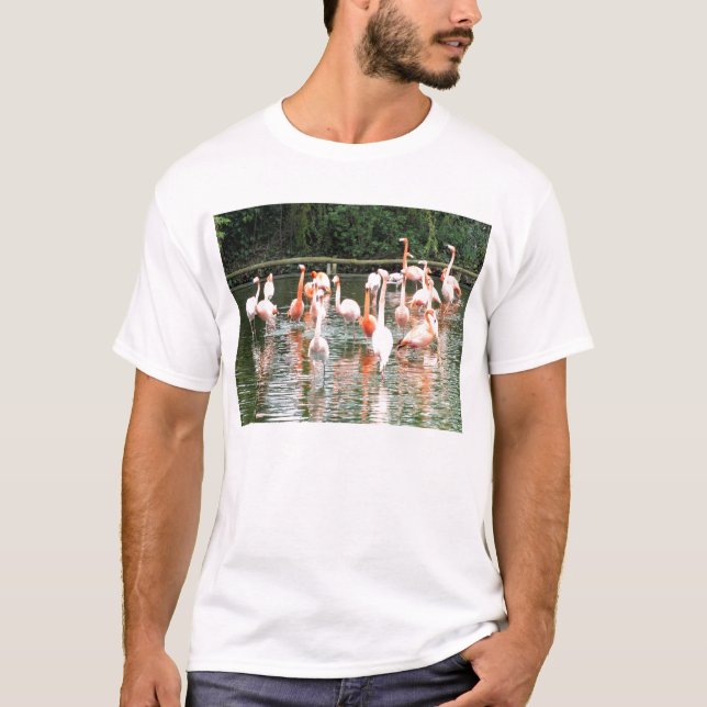 Camiseta Flamingos e reflexões (Frente)