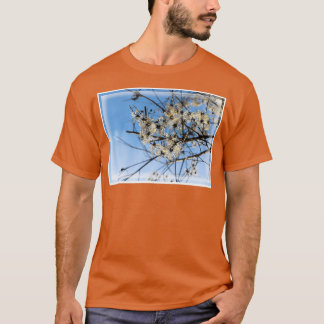 Camiseta Floffy White Clematis no inverno com céu azul