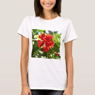 Camiseta Flor Brilhante Red Hawaiian Hibiscus