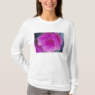 Camiseta Flor de Cactusouriço Rosa (Echinocereus