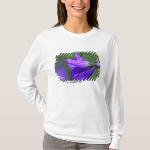 Camiseta Flor de campainha azul em Independence Pass em