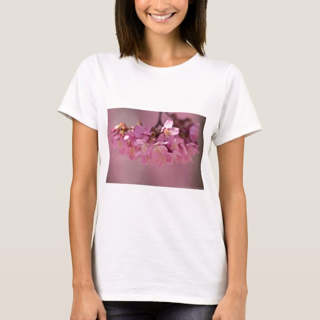Camiseta Flor de Cerejeira Fonte Termal  2012 Roupas  & Pre (Frente)