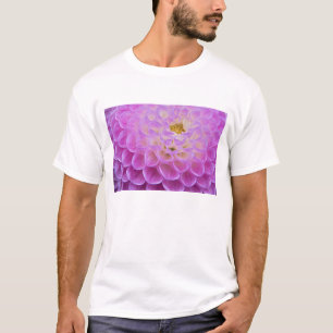 Camiseta Flor de crisântemo decorando túmulo em