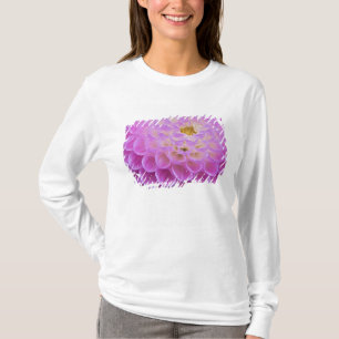 Camiseta Flor de crisântemo decorando túmulo em