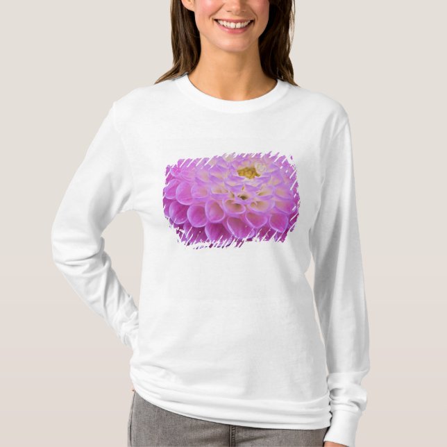 Camiseta Flor de crisântemo decorando túmulo em (Frente)