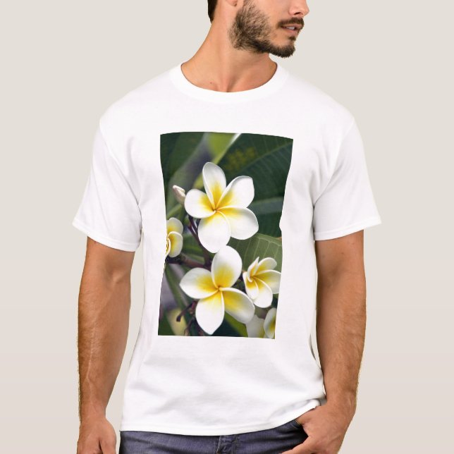 Camiseta Flor de frangipani Ilhas Cook (Frente)
