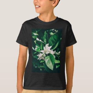 Camiseta flor de laranja à luz do sol