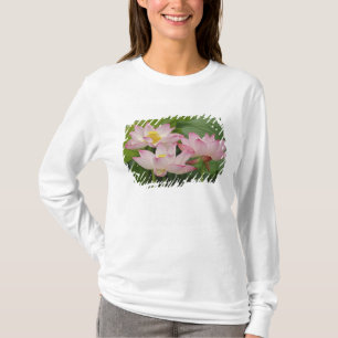 Camiseta Flor de lótus, Nelumbo nucifera, China 2