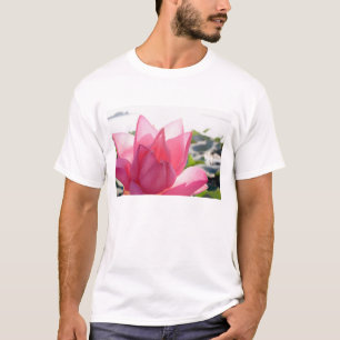 Camiseta flor de lótus [Nelumbo speciosum] em plena