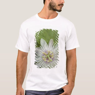 Camiseta Flor de Maracujá dos Galápagos Passiflora foetida