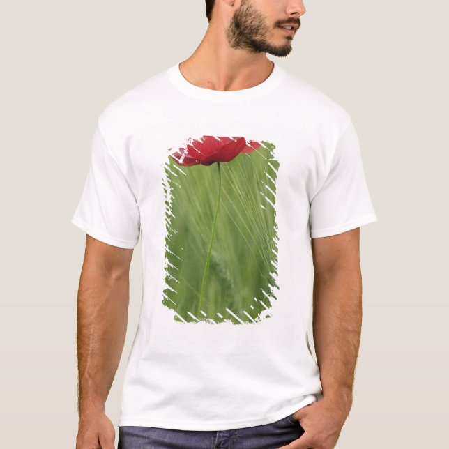 Camiseta flor de papoila vermelha entre a cultura de trigo, (Frente)