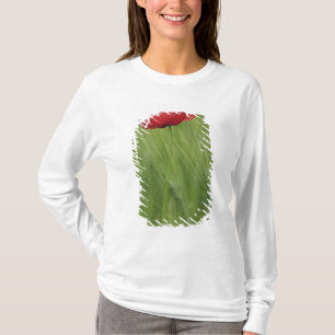 Camiseta Flor de papoula vermelha entre a cultura de trigo,