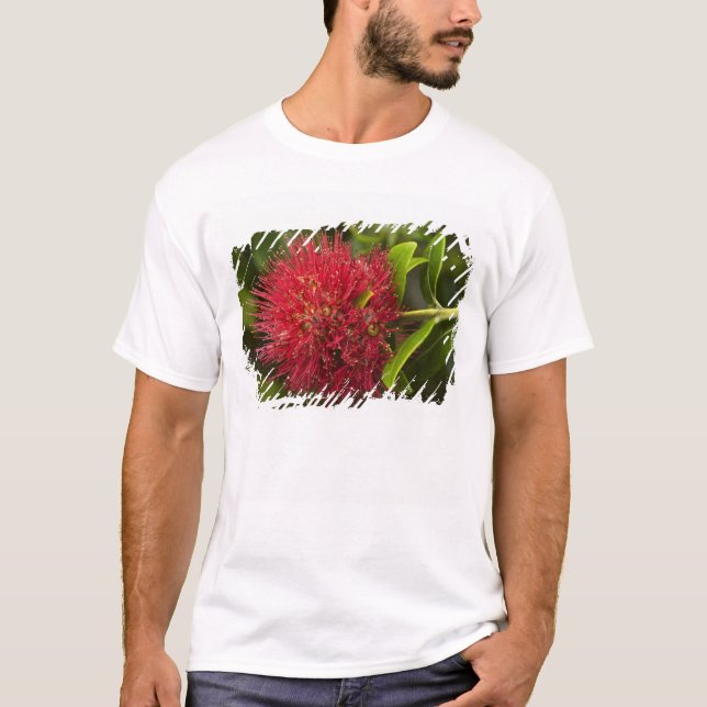 Camiseta Flor de Pohutukawa, Dunedin (Frente)