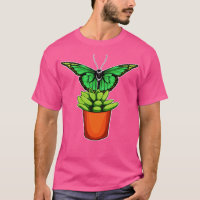 Flor de pote da Planta Butterfly