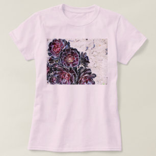 Camiseta Flor do Aeonium em rochas secas