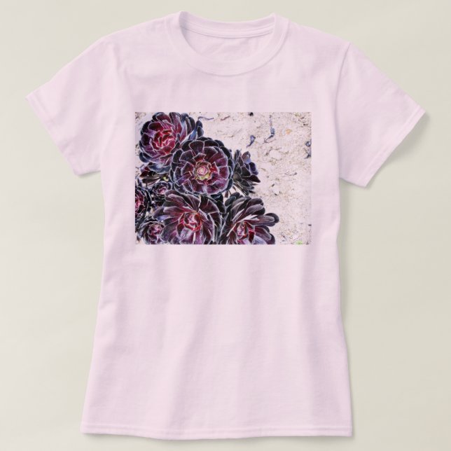 Camiseta Flor do Aeonium em rochas secas (Frente do Design)