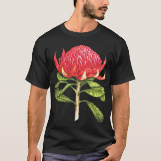 Camiseta Flor Nativo de Waratah Australiano