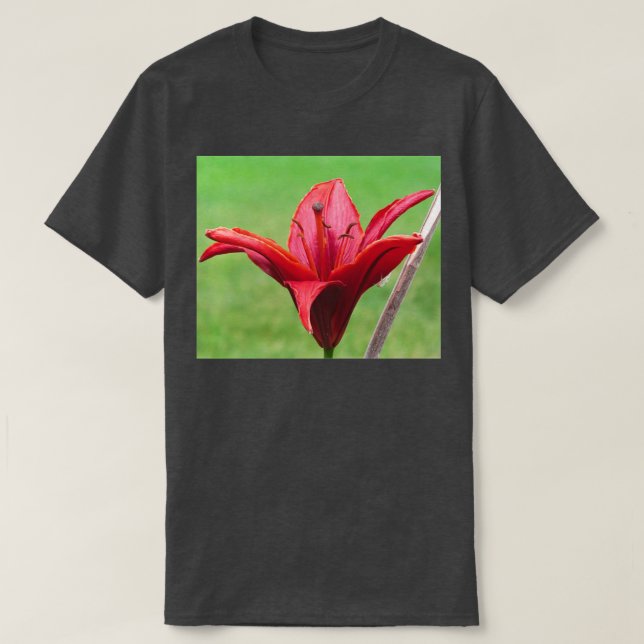 Camiseta Flor Vermelho (Frente do Design)