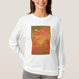 Camiseta flores abstratas de castanha-da-índia de Savannah