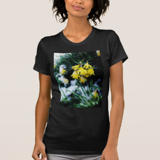 Camiseta Flores amarelas Daffodils na neve