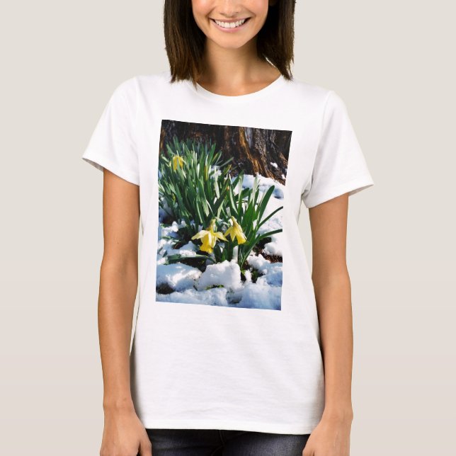 Camiseta Flores amarelas Daffodils na neve (Frente)