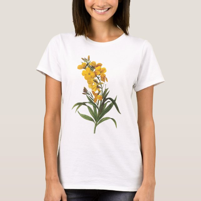 Camiseta Flores amarelas, Pierre Joseph Redouté (Frente)