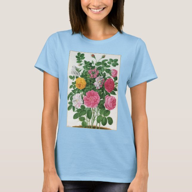 Camiseta Flores Antigas em Flor, Rosas de Jardim da Primave (Frente)