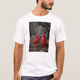 Camiseta Flores da neve