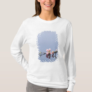 Camiseta Flores de cerejeira na água