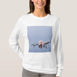 Camiseta Flores de cerejeira na água